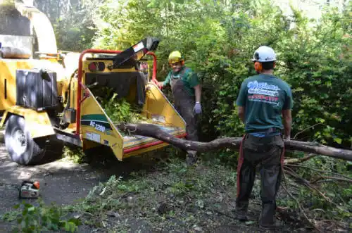 tree services Griffin